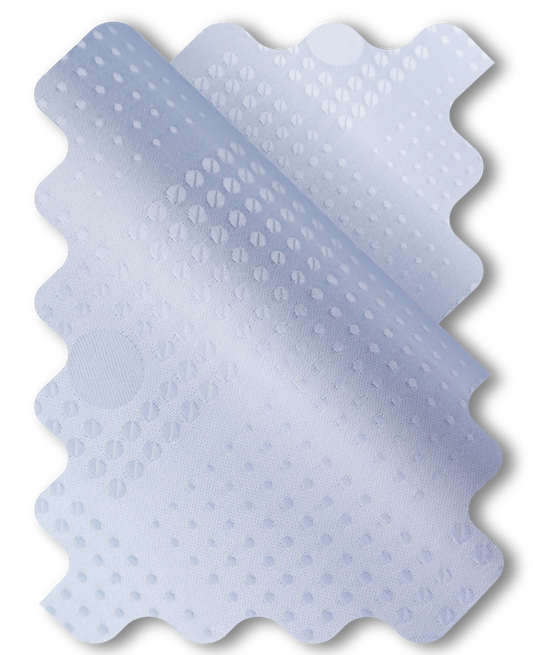 Dotted Plan